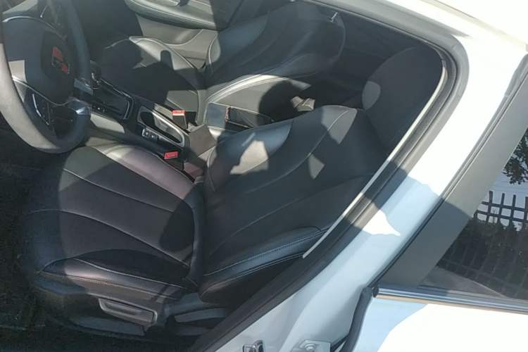 Used Roewe i5 2020 1.5L Automatic 4G Connect Luxury Flagship Edition Left Front Seat