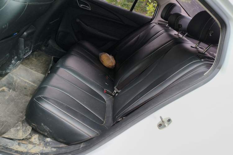 Used Roewe i5 2020 1.5L Automatic 4G Connect Luxury Flagship Edition Left Rear Seat