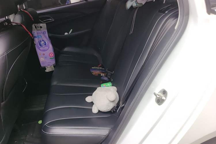 Used Roewe i5 2020 1.5L Automatic 4G Connect Luxury Flagship Edition Left Rear Seat