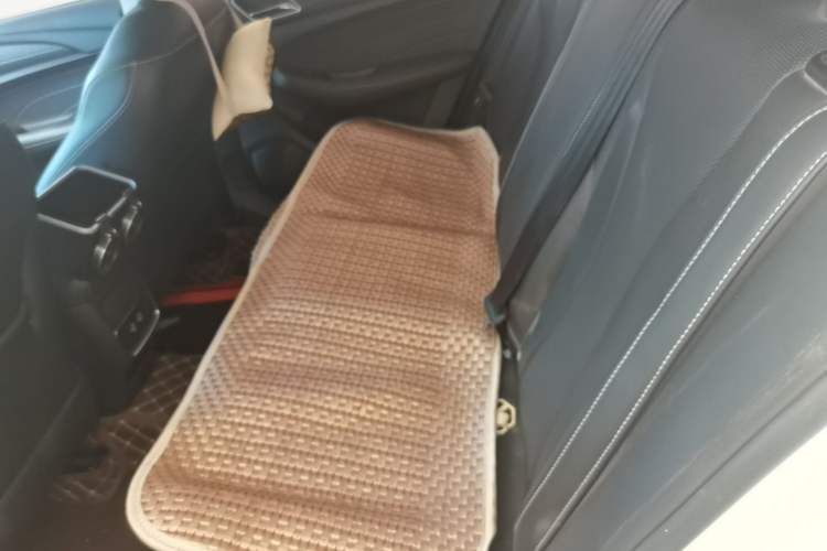 Used Roewe i5 2020 1.5L Manual 4G Connect Leehao Flagship Edition Left Rear Seat