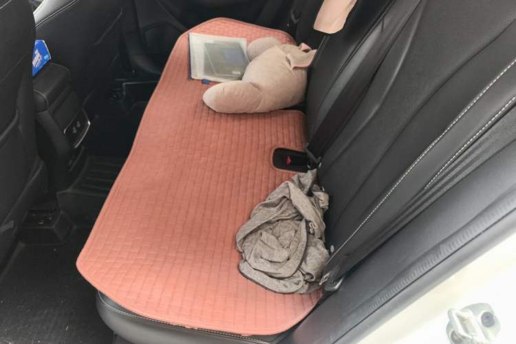 Used Roewe i5 2020 1.5L Automatic 4G Connect Luxury Flagship Edition Left Rear Seat
