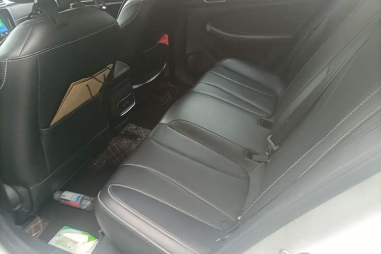 Used Roewe i5 2020 1.5L Automatic 4G Connect Luxury Flagship Edition Left Rear Seat