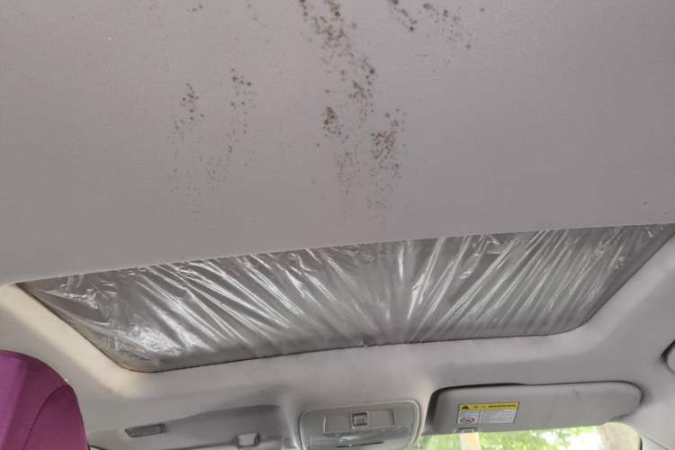 Used Roewe i5 2021 1.5L CVT Diamond Edition Headliner