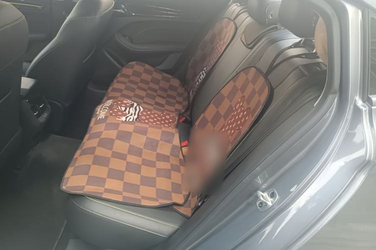 Used Roewe i5 2021 1.5L CVT Black Gold Edition Left Rear Seat