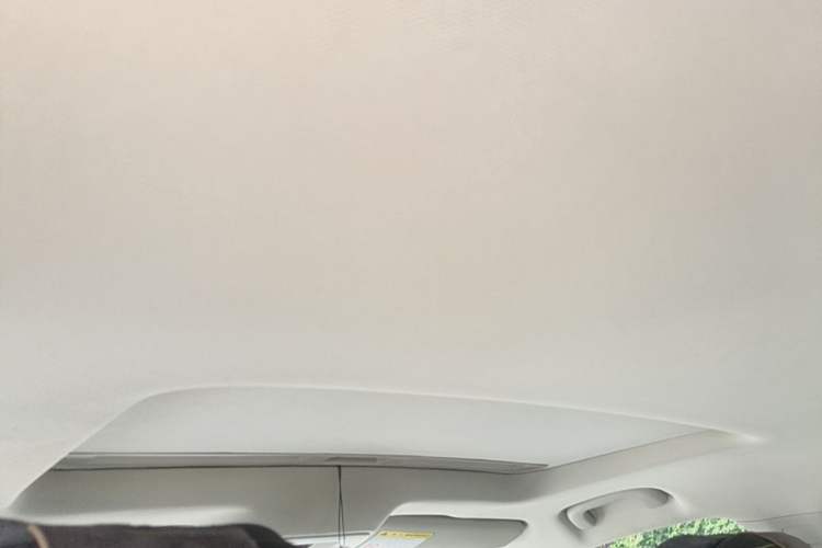 Used Roewe i5 2021 Revised Version 1.5L CVT Diamond Edition Headliner