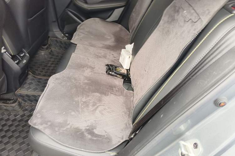 Used Roewe i5 2021 Revised Version 1.5L CVT Diamond Edition Left Rear Seat