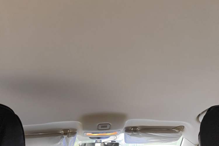 Used Roewe i5 2021 1.5L Manual Platinum Edition Headliner