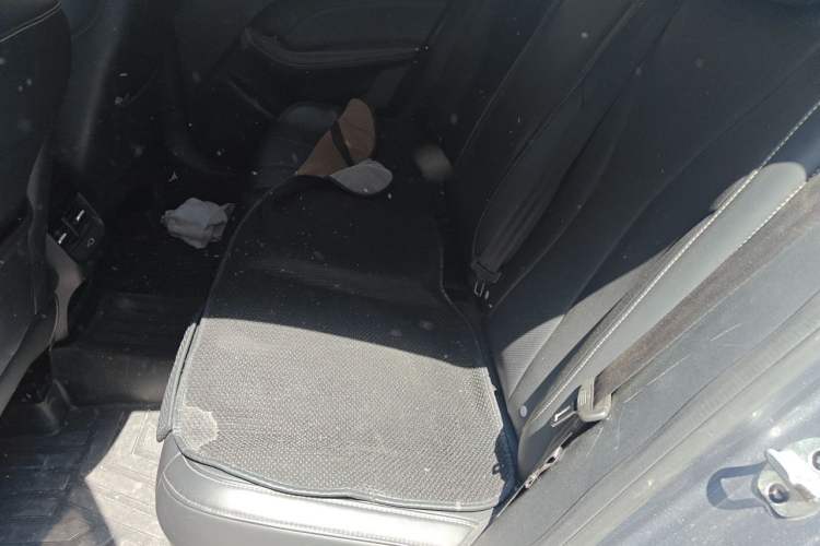 Used Roewe i5 2021 1.5L CVT Diamond Edition Left Rear Seat