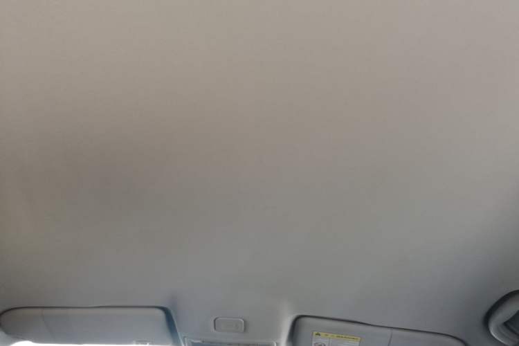 Used Roewe i5 2021 1.5L Manual Platinum Edition Headliner