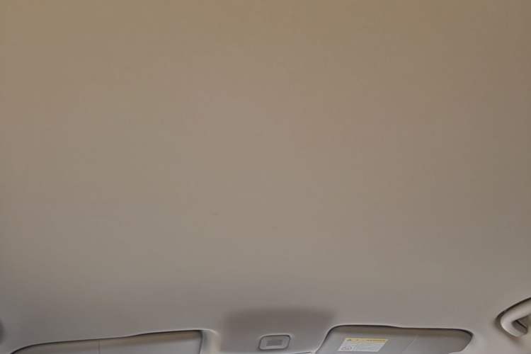 Used Roewe i5 2021 1.5L Manual Platinum Edition Headliner