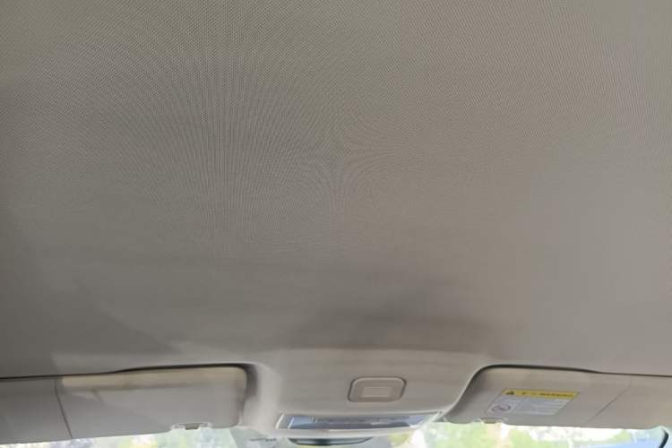 Used Roewe i5 2021 1.5L Manual Platinum Edition Headliner