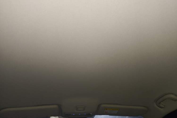 Used Roewe i5 2021 1.5L Manual Platinum Edition Headliner