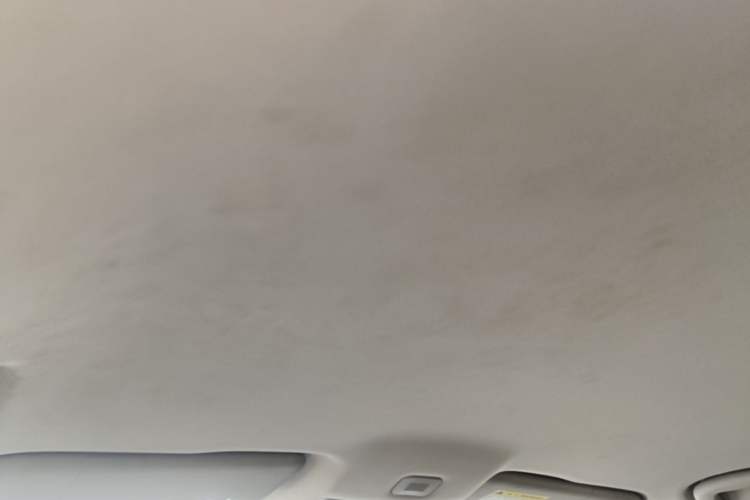 Used Roewe i5 2021 1.5L Manual Platinum Edition Headliner