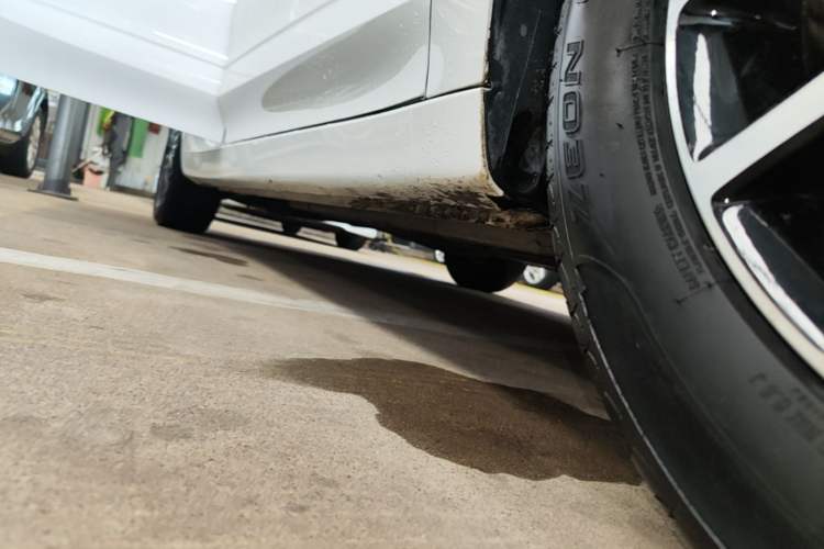 Used Roewe i5 2021 Revised Version 1.5L CVT Diamond Edition Right Side Sill