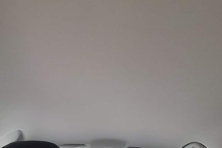 Used Roewe i5 2023 1.5L Manual Comfort Edition Headliner