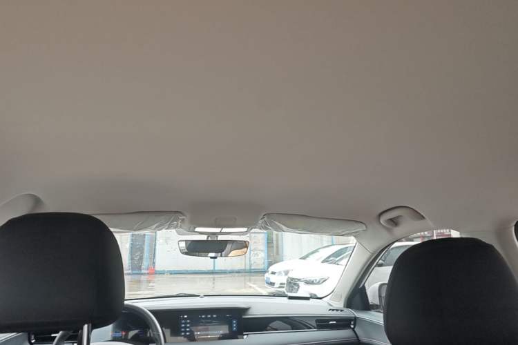 Used Roewe i5 2023 1.5L Manual Comfort Edition Headliner