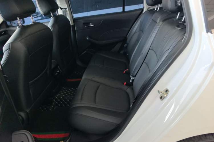 Used Roewe i5 2023 1.5L CVT Luxury Edition Left Rear Seat