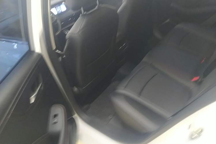 Used Roewe i5 2023 1.5L CVT Luxury Edition Left Rear Seat