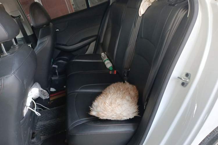 Used Roewe i5 2023 1.5L CVT Luxury Edition Left Rear Seat
