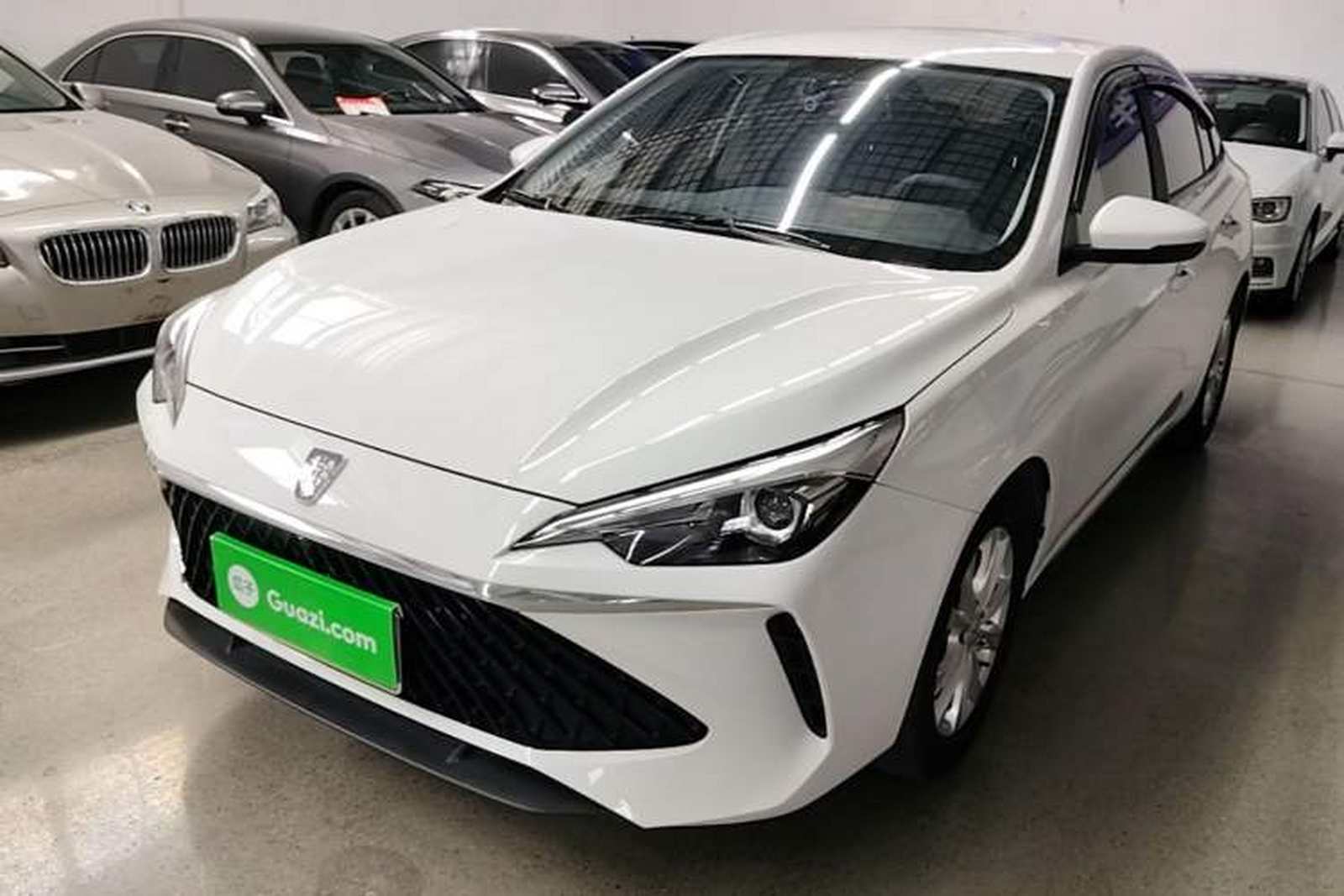 Фото Roewe с площадки