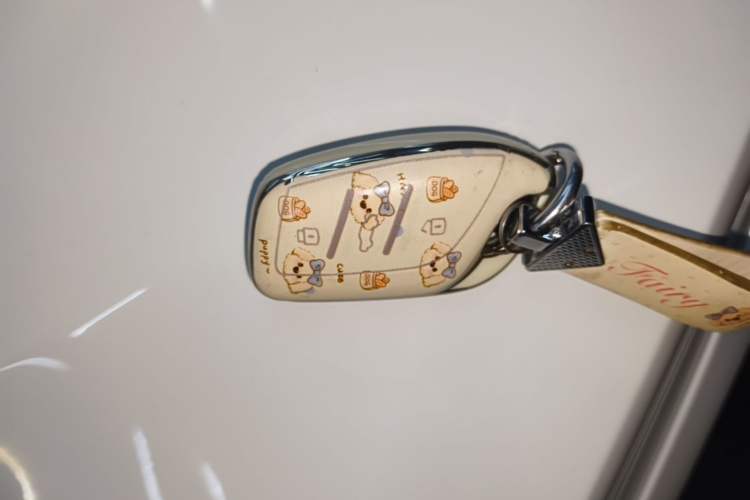 Used Roewe i5 2023 1.5L CVT Luxury Edition Vehicle Key
