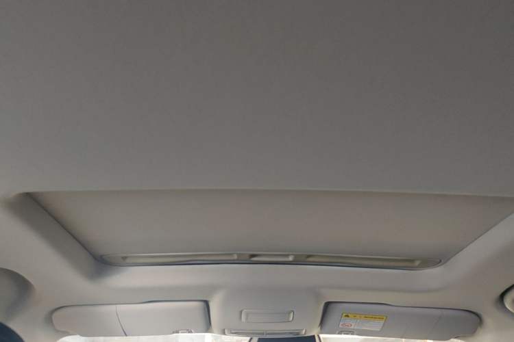 Used Roewe i5 2023 1.5L CVT Flagship Edition Headliner