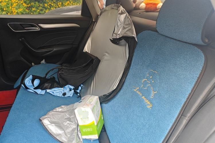 Used Roewe i6 2017 20T Automatic Flagship Edition Left Rear Seat