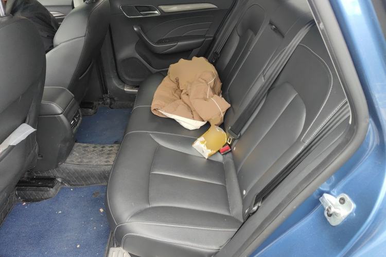 Used Roewe i6 2018 20T Automatic Internet ZhiZun Edition Left Rear Seat