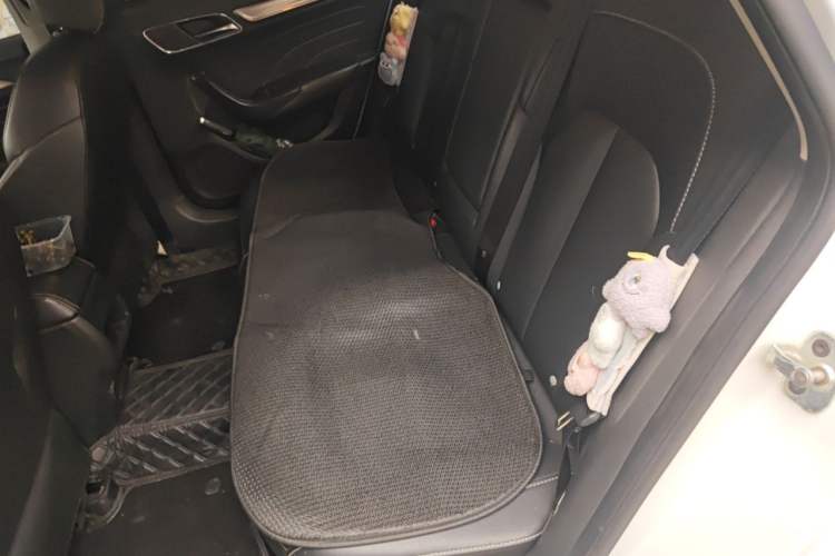 Used Roewe i6 2018 20T Automatic Internet ZhiZun Edition Left Rear Seat