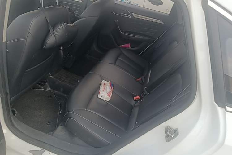 Used Roewe i6 2018 20T Automatic Internet ZhiZun Edition Left Rear Seat