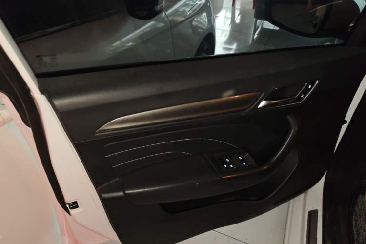 Used Roewe i6 2020 PLUS 1.6L CVT 4G Connected Glory Flagship Edition Left Front Door Interior