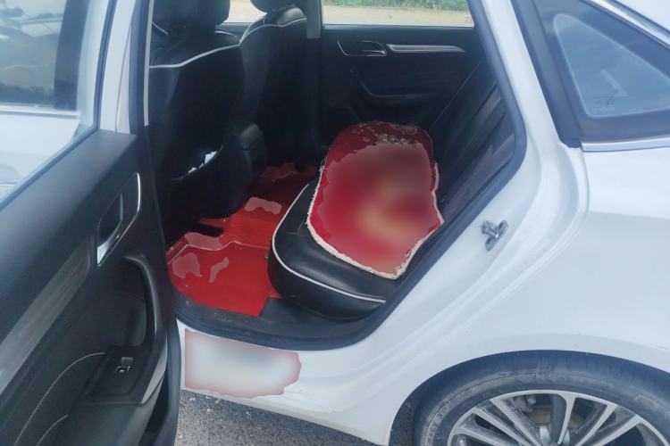 Used Roewe i6 2020 PLUS 1.6L Manual 4G Connect Glory Flagship Edition Left Rear Seat