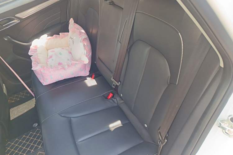 Used Roewe i6 2020 PLUS 1.6L CVT 4G Connected Glory Flagship Edition Left Rear Seat