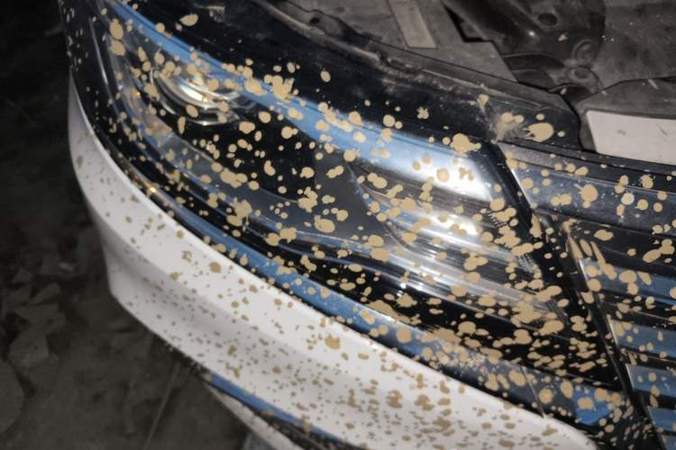 Used Roewe i6 2020 PLUS 1.6L CVT 4G Connected Glory Holographic Edition Right Front Headlight