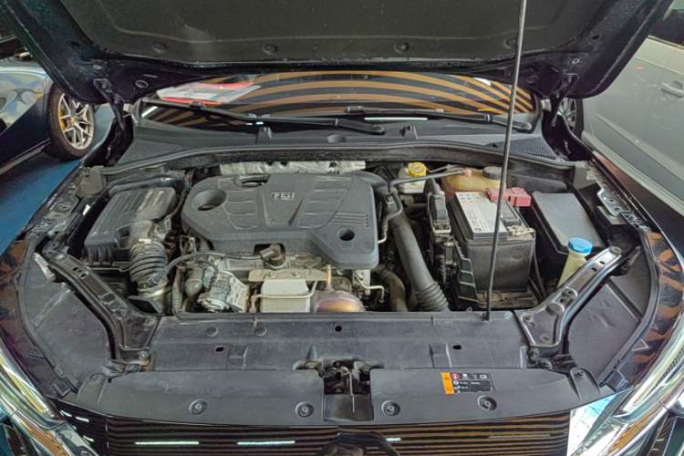 Used Roewe i6 MAX 2020 300TGI Automatic Sporty Cool Edition Engine Bay
