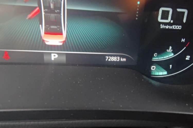 Used Roewe i6 MAX 2020 300TGI Automatic "Swell Cool Smart Drive" Edition Odometer Close Up