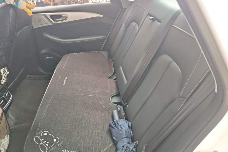 Used Roewe i6 MAX New Energy 2021 EV 500 Skyroof Flagship Edition Left Rear Seat