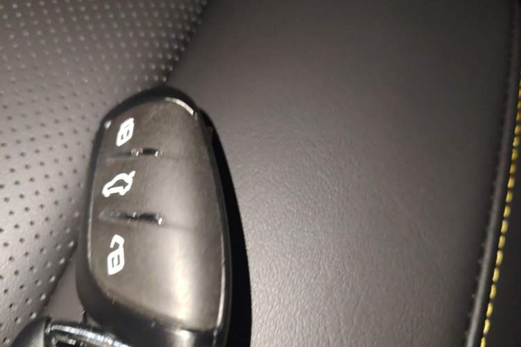 Used Roewe i6 MAX New Energy 2021 EV 500 Skyroof Deluxe Edition Vehicle Key
