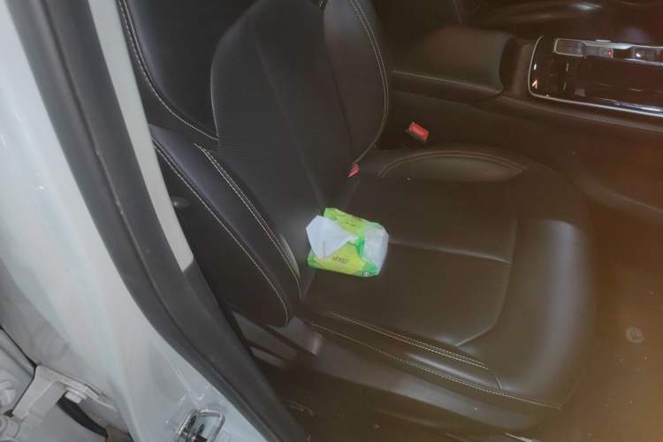 Used Roewe i6 MAX New Energy 2023 EV 420 Skyroof Special Edition Right Front Seat