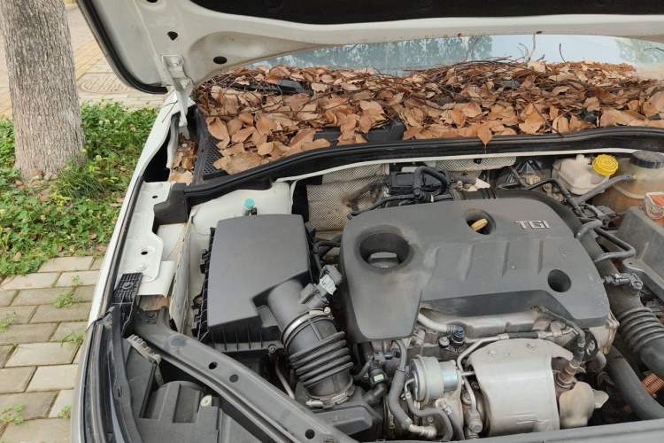 Used Roewe i6 New Energy 2017 45T Hybrid Connect & Smart Enjoyment Edition Engine Bay Right
