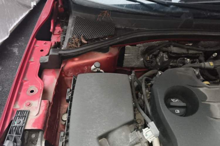Used Roewe i6 New Energy 2019 PLUS 50T Internet Glory Supreme Edition Engine Bay Right