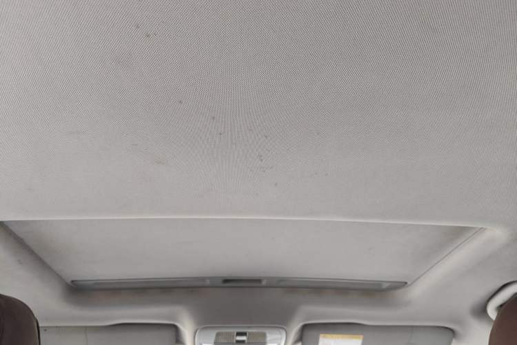 Used Roewe i6 New Energy 2019 PLUS 50T 4G Connected Glory Luxury Edition Headliner