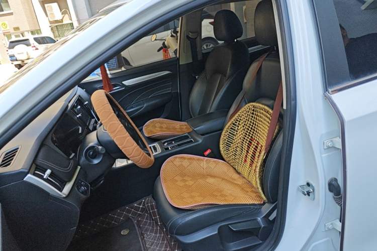 Used Roewe i6 New Energy 2019 PLUS 50T 4G Connected Glory Luxury Edition Left Front Seat