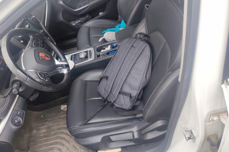 Used Roewe i6 New Energy 2019 PLUS 50T 4G Connected Glory Luxury Edition Left Front Seat