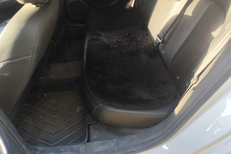 Used Roewe i6 New Energy 2019 PLUS 50T 4G Connected Glory Luxury Edition Left Rear Seat