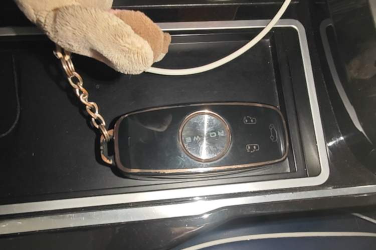 Used Roewe iMAX8 2021 400TGI Supreme Series Prestige Edition Vehicle Key