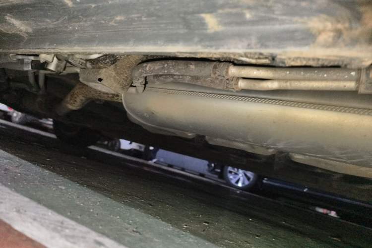 Used Roewe iMAX8 2021 400TGI Supreme Series Prestige Edition Chassis Rear Left