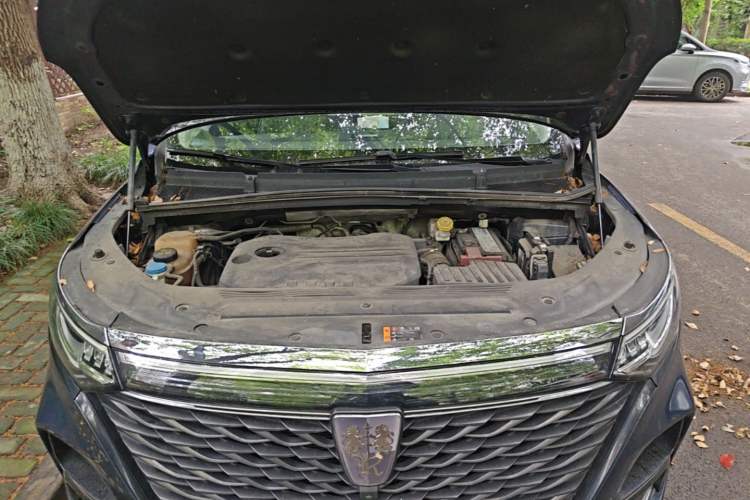 Used Roewe iMAX8 2021 400TGI Supreme Series Prestige Edition Engine Bay