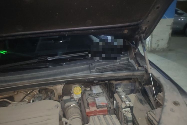 Used Roewe iMAX8 2021 400TGI Supreme Series Lu Zun Edition Engine Bay Left
