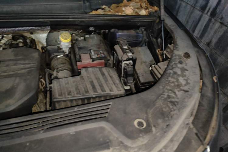 Used Roewe iMAX8 2021 400TGI Supreme Series Prestige Edition Engine Bay Left